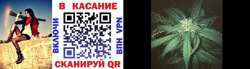 Где купить Кашира APVP Cocaine МДМА Гашиш ТГК МЕФ