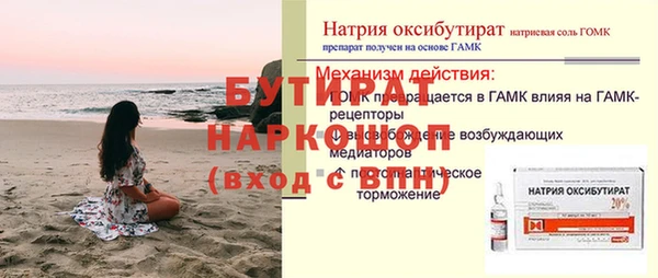 сатива Новокубанск