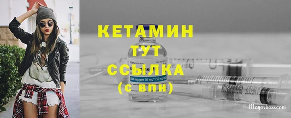 сатива Новокубанск