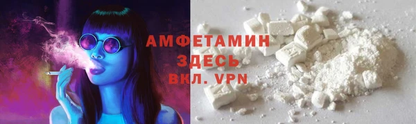 сатива Новокубанск