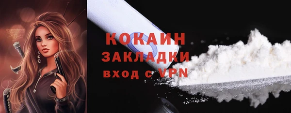 мдпв Новозыбков
