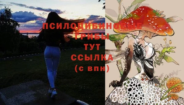 мдпв Новозыбков
