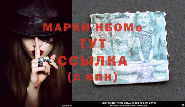 мдпв Новозыбков