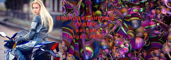 сатива Новокубанск