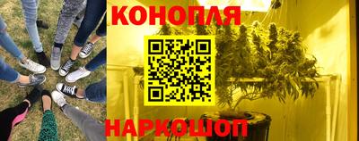 амф Гусев