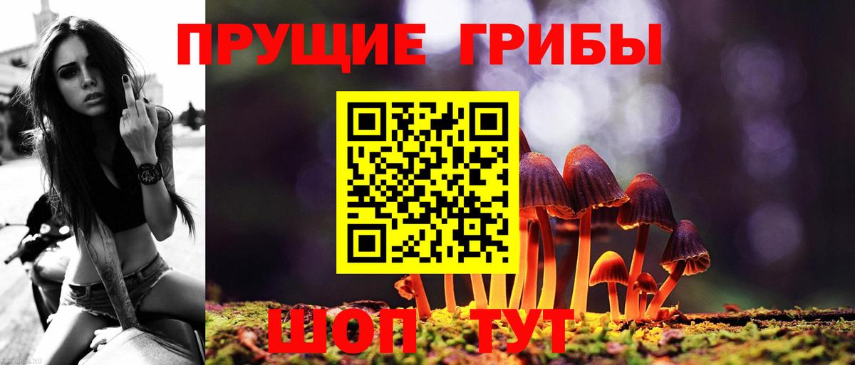 Псилоцибиновые грибы мухоморы  Вход с VPN  Кашира  Псилоцибиновые грибы мицелий 